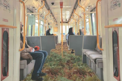 NSFC Student Exhibition Piece Rewilding